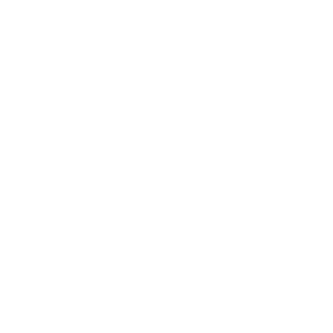 Formando Profesionales